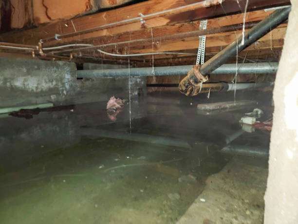 Best Ceiling water damage repair  in Wilmerding, PA