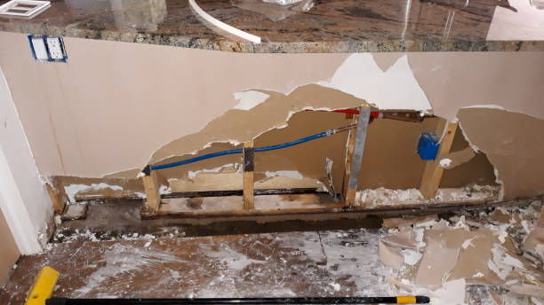 Best Water damage restoration near me  in Wilmerding, PA