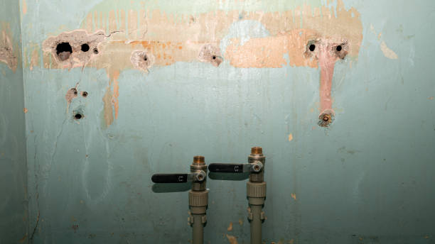 Best Sewage cleanup and water damage restoration  in Wilmerding, PA