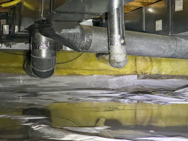 Best Water damage cleanup near me  in Wilmerding, PA