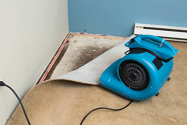 Best Sewage cleanup and water damage restoration  in Wilmerding, PA
